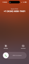 1786462141043.png