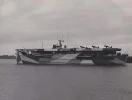 Decoy carrier.webp