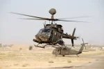 Coming in for landing.webp