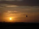 Sunset from FARP small.webp
