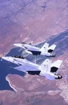vfa10l.webp