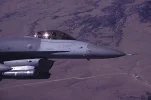 hound7l.webp