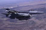 hound11l.webp
