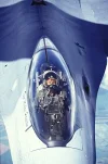 mako10l.webp