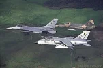 Mako12l.webp
