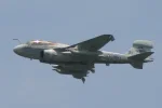 prowler2.webp