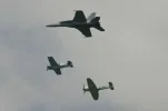 warbirds.webp