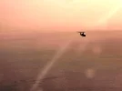 into the sunset 2.webp