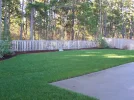 Backyard.webp