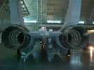 DullesFesters 035_800x600.webp