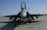 hornet 1.webp