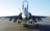 hornet 2.webp