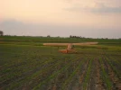 DSC00415.webp