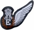 E-Wings-New.jpg