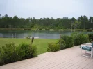 IMG_2368.webp