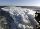 carrier wake.webp