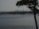n8304207_48513843_9304.jpg