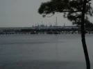 n8304207_48513843_9304.webp