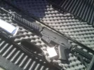 SIG556.webp