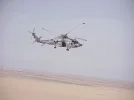 h in flight.webp