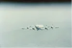 P-3 Minex.webp