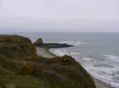 P1010727.webp