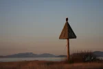 whidbey_eagle1.webp