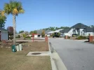 Back of Neighborhood.webp