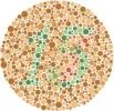 test-250.webp