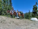 Up on the pass.webp