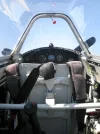 PDX Yolo 046.webp
