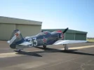 PDX Yolo 037.webp