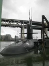 PDX Yolo 012.webp