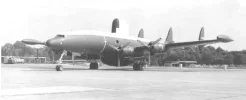 connie38.webp