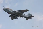 IMG_2220 163048 NL531 E1 CC.webp