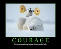 2007.12.14-PenguinCourage.webp