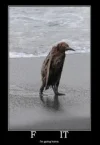 D03CD9B0B6824B61AEEEB4093ED9DCA1.webp