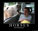horses eat you.webp