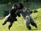 mostbadasspictureever.webp