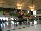 DSCN5785.webp