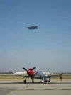 Fly0509 062.webp