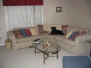102_0217.webp