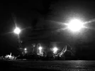 IMG_3296.webp