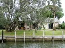 backyard.webp