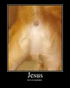 Jesus.webp