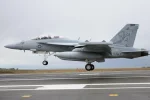 growler_501_2.webp