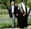 Bush01.webp