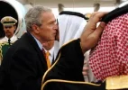 Bush.webp