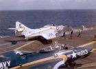 cougar-vf61.webp