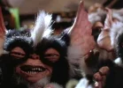 gremlinmogwaizm1.webp